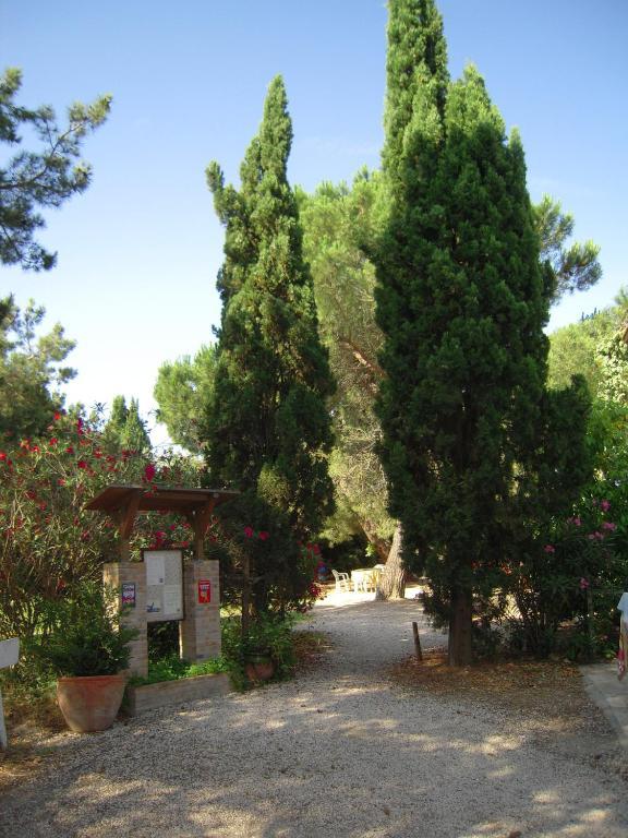 Manade Cavallini - Mas De Pioch Saintes-Maries-de-La-Mer Exterior foto